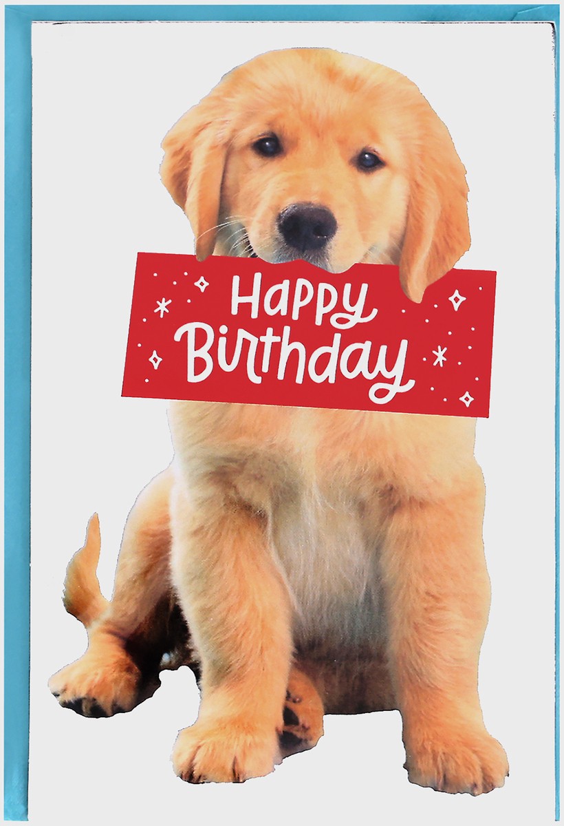 slide 5 of 9, Carlton Cards American Greetings Puppy Birthday Card, 1 ct