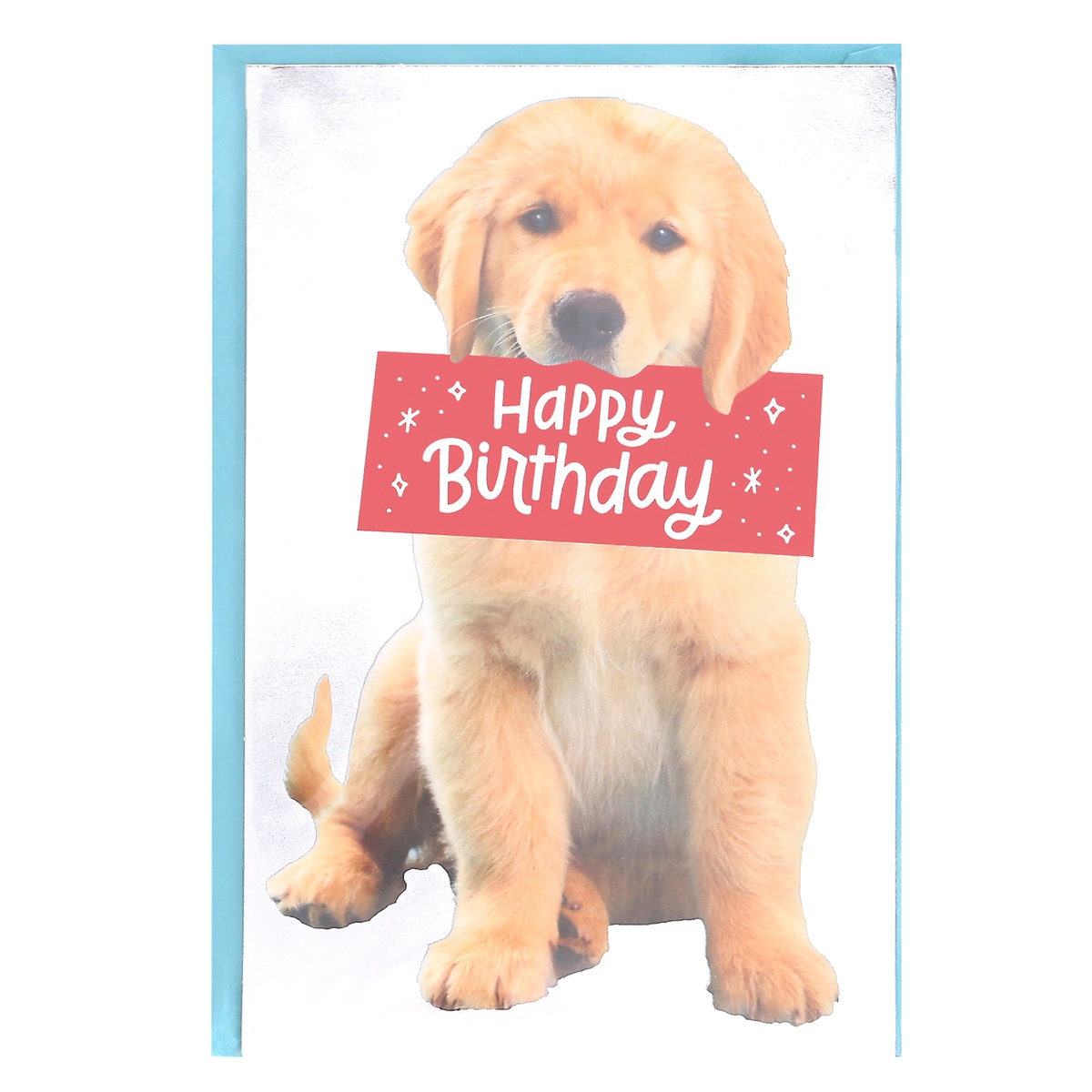 slide 1 of 5, American Greetings Puppy Birthday Card, 1 ct
