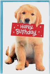 American Greetings Happy Birthday Greeting Card 1 ea