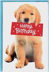 American Greetings Happy Birthday Greeting Card 1 ea