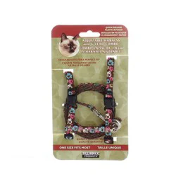 Alliance Black Cat Harness with Matching Lead