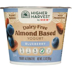 Higher Harvest by H-E-B Dairy Free Almond-Based Yogurt – Blueberry
