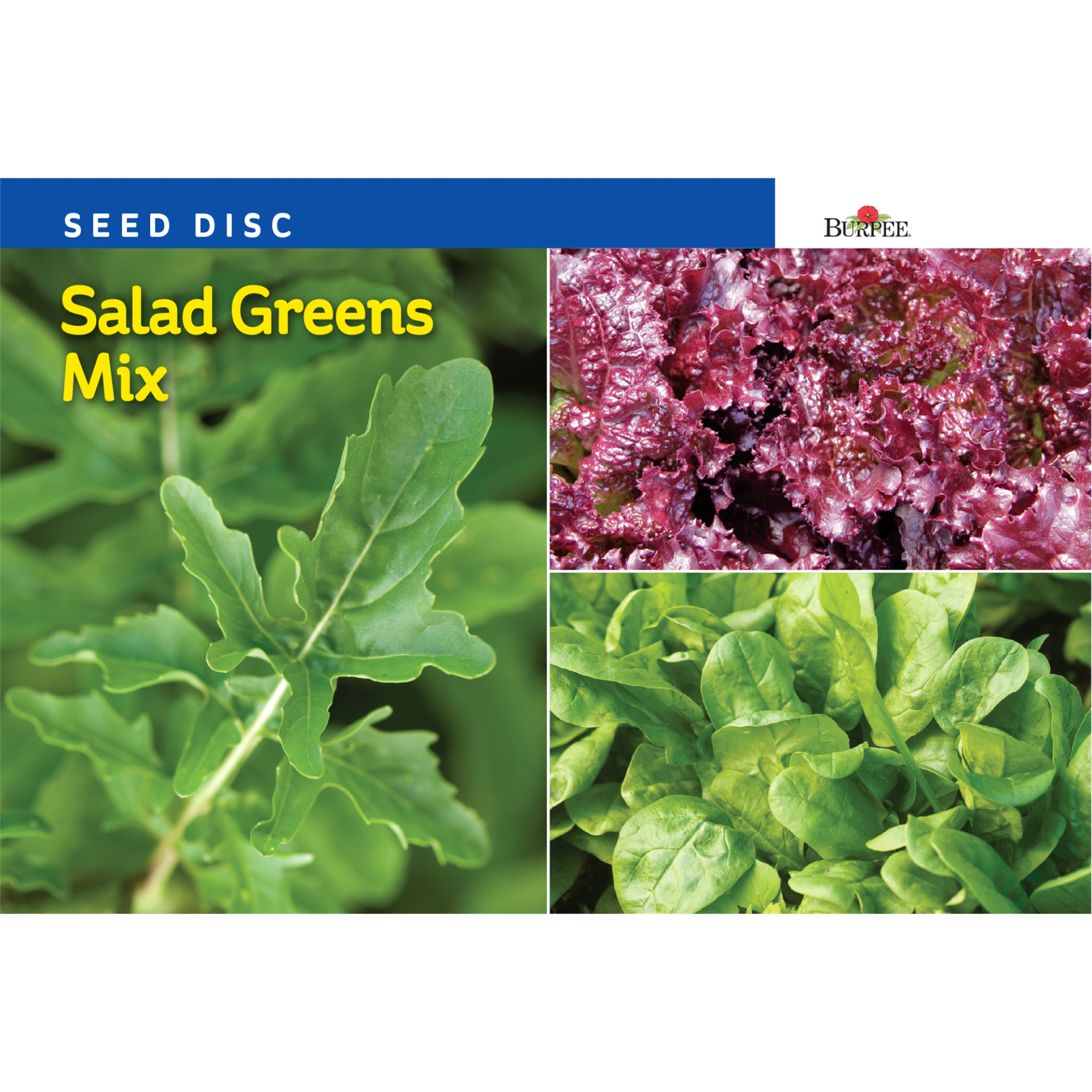 slide 1 of 1, Burpee Seed Disc Salad Greens Mix Seeds, 1 ct