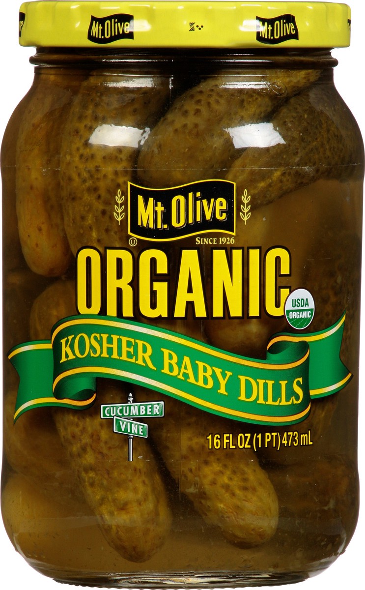 slide 1 of 9, Mt. Olive Organic Kosher Baby Dills Pickles 16 fl oz, 16 fl oz