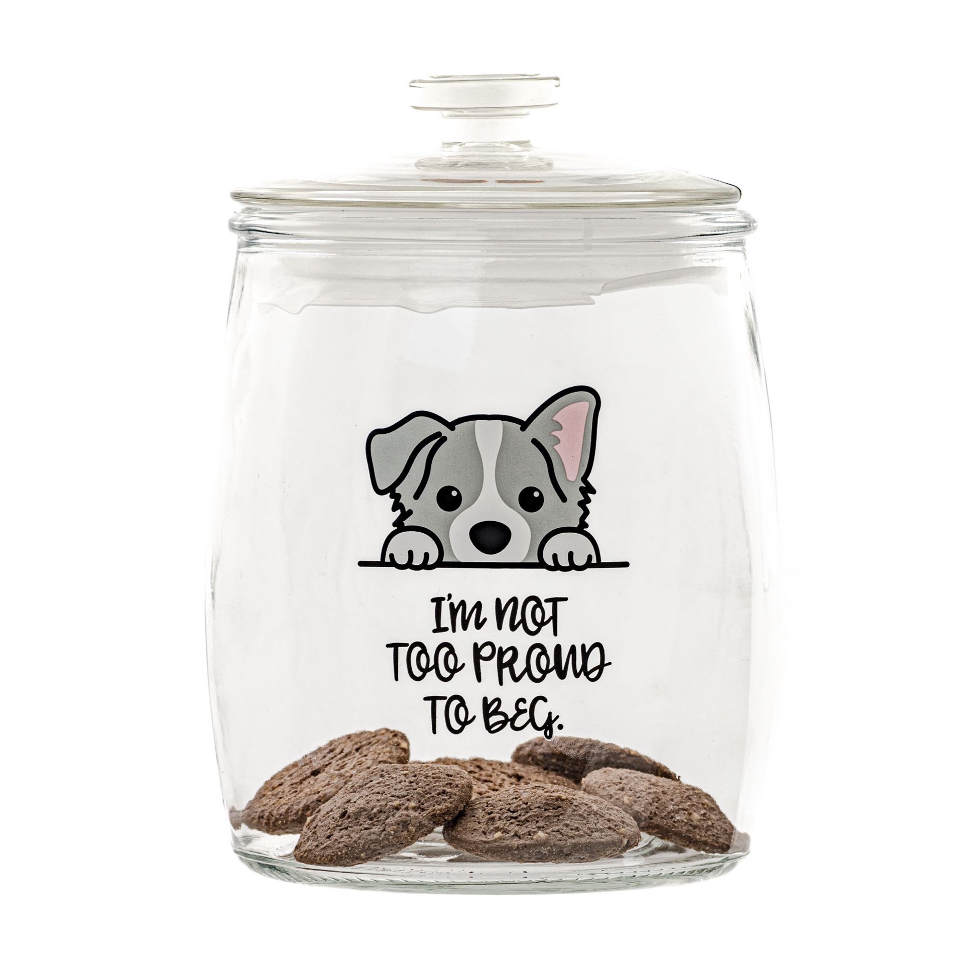 slide 1 of 1, 10 Strawberry Street "Not Too Proud to Beg" Pet Treat Canister, Medium, MED