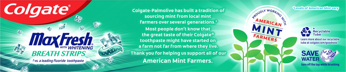 slide 2 of 7, Colgate MaxFresh Clean Mint Toothpaste, 6.3 Oz., 6.3 oz