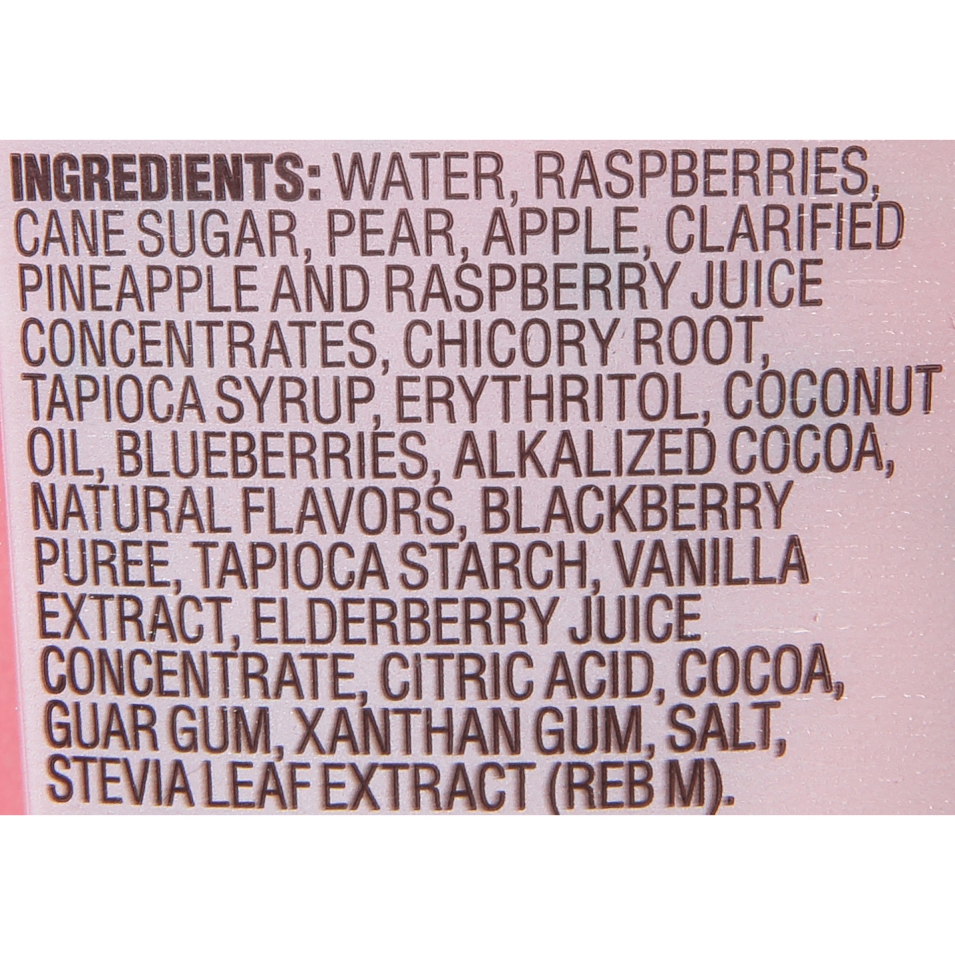 slide 6 of 6, Sorbabes Raspberry With Dark Chocolaty Bits Gourmet Sorbet, 16 fl oz