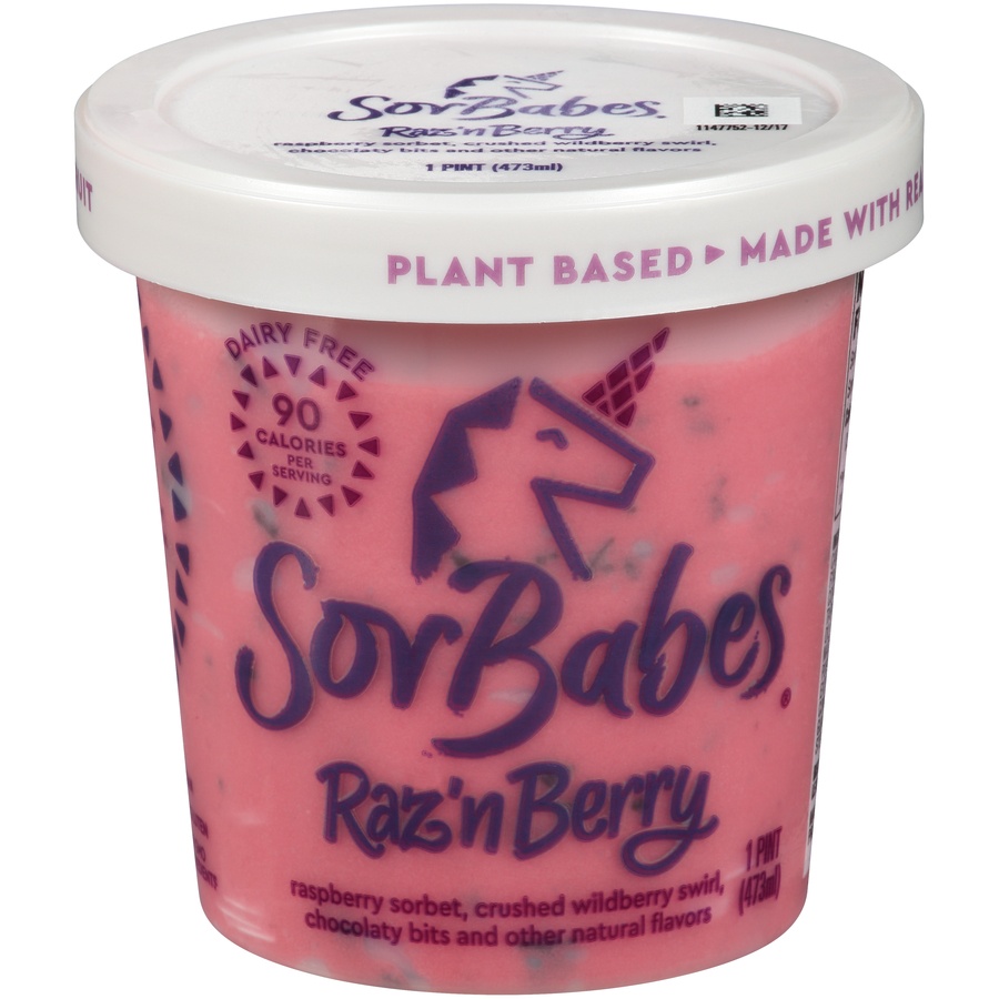 slide 1 of 6, Sorbabes Raspberry With Dark Chocolaty Bits Gourmet Sorbet, 16 fl oz