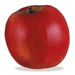 Organic Apple Braeburn Lg Orgnc