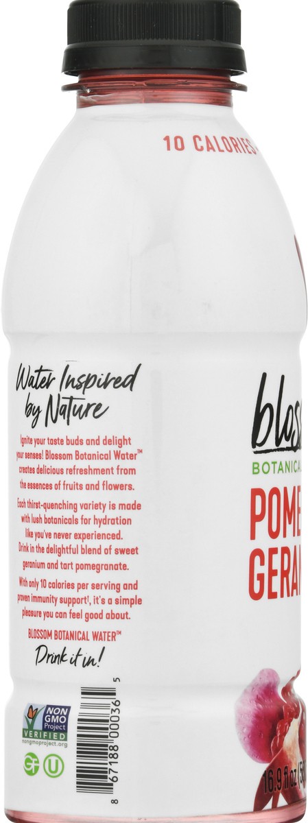 slide 9 of 10, Blossom Water Pomegranate Geranium Botanical Water - 16.9 fl oz, 16.9 fl oz