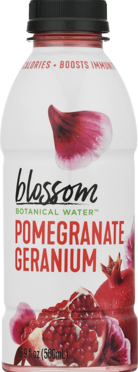 slide 10 of 10, Blossom Water Pomegranate Geranium Botanical Water - 16.9 fl oz, 16.9 fl oz