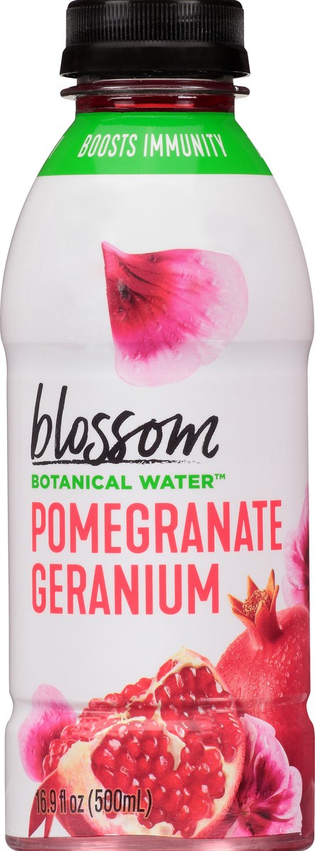 slide 1 of 10, Blossom Water Pomegranate Geranium Botanical Water - 16.9 fl oz, 16.9 fl oz