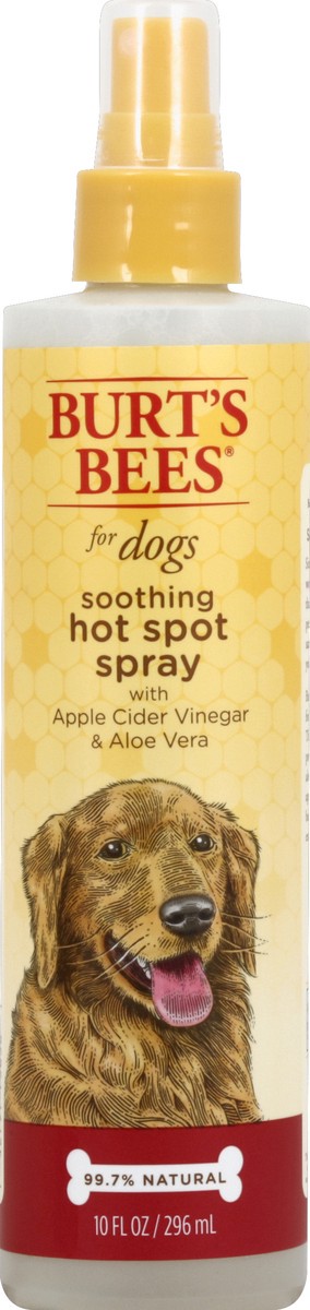 slide 1 of 3, Burt's Bees Hot Spot Spray, Soothing, for Dogs, 10 Ounce, 10 fl oz