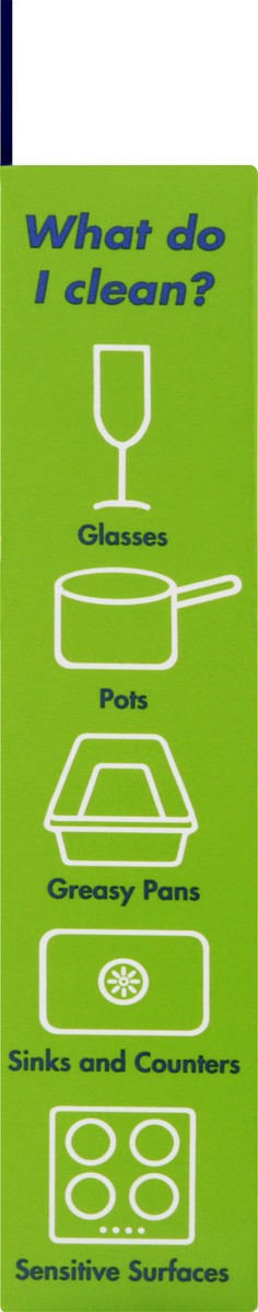 slide 6 of 7, DishFish Scrubbing Sponge 1 ea, 1 ct