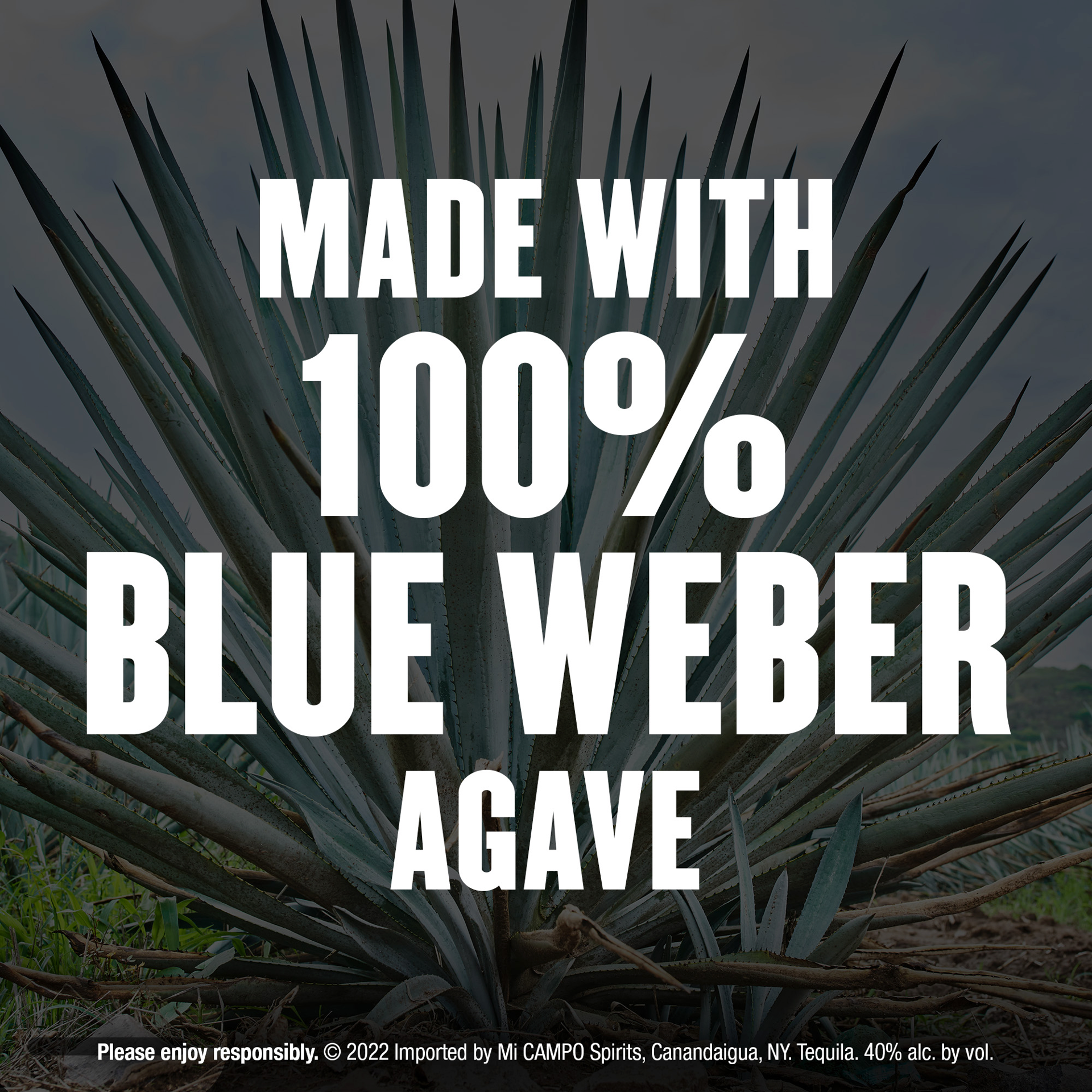 slide 6 of 10, Mi Campo Reposado Tequila, 80 Proof, 1 liter