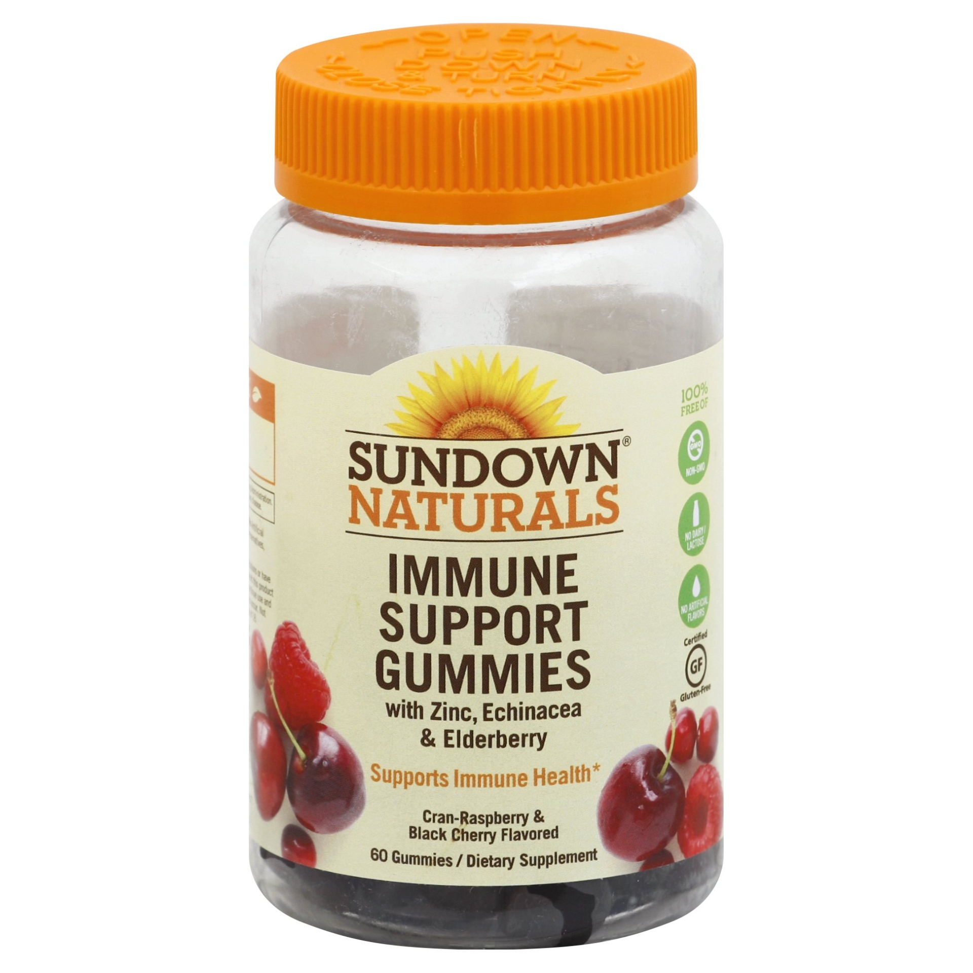 slide 1 of 1, Sundown Naturals Immune Support 60 ea, 60 ct