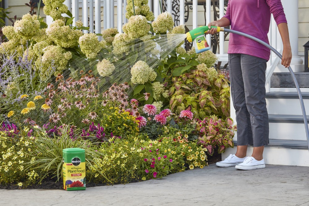 slide 2 of 6, Miracle-Gro Water Soluble All Purpose Plant Food, 5.5 lb