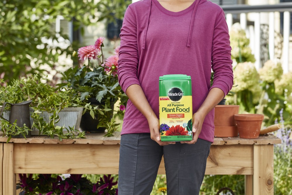 slide 4 of 6, Miracle-Gro Water Soluble All Purpose Plant Food, 5.5 lb