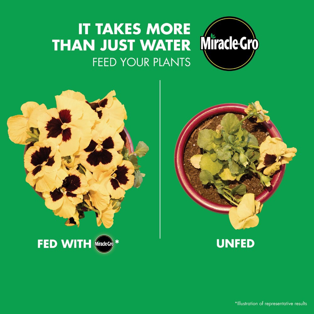 slide 5 of 6, Miracle-Gro Water Soluble All Purpose Plant Food, 5.5 lb