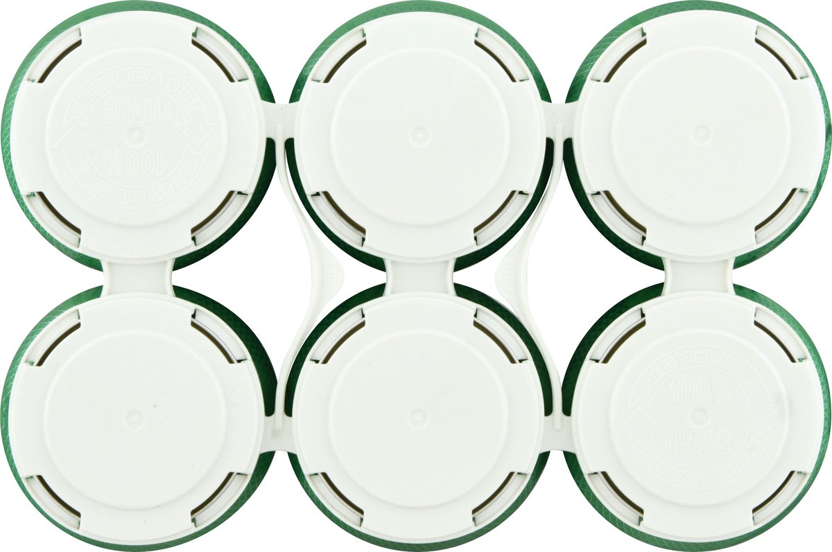 slide 8 of 10, Dru Bru 6 Pack India Pale Ale Hop Session Beer 6 ea, 6 ct