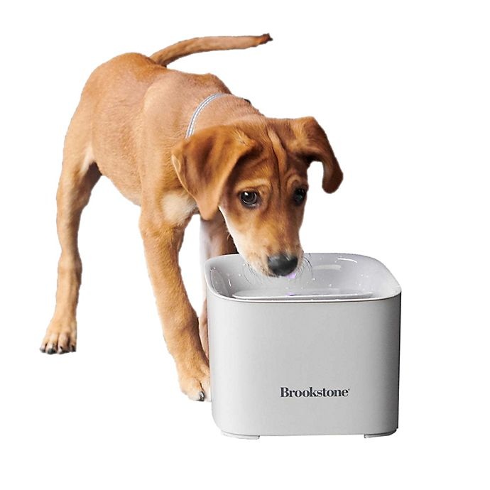 slide 1 of 5, Brookstone Motion Sensor Pet Water Fountain - Natural, 1 ct