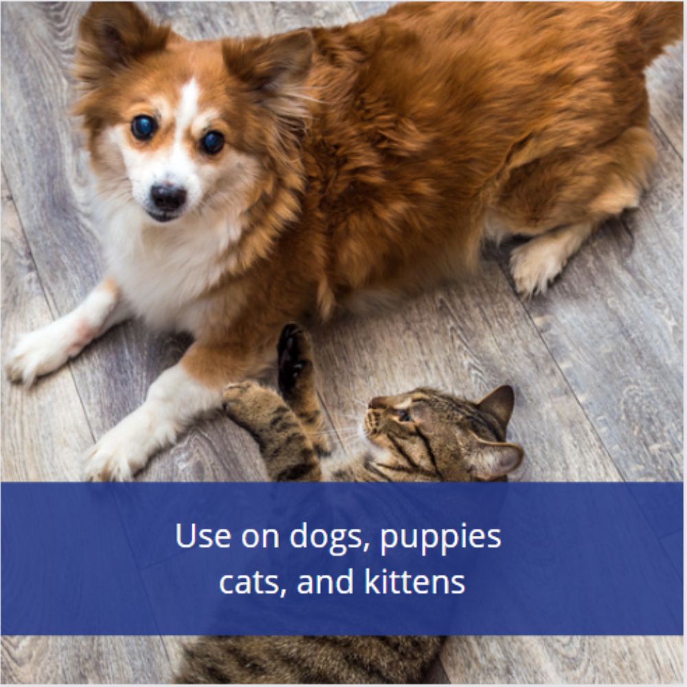 slide 4 of 6, Farnam Pet Farnam Flys-Off Insect Repellent for Dogs and Cats 6 Fluid Ounces, 1 ct