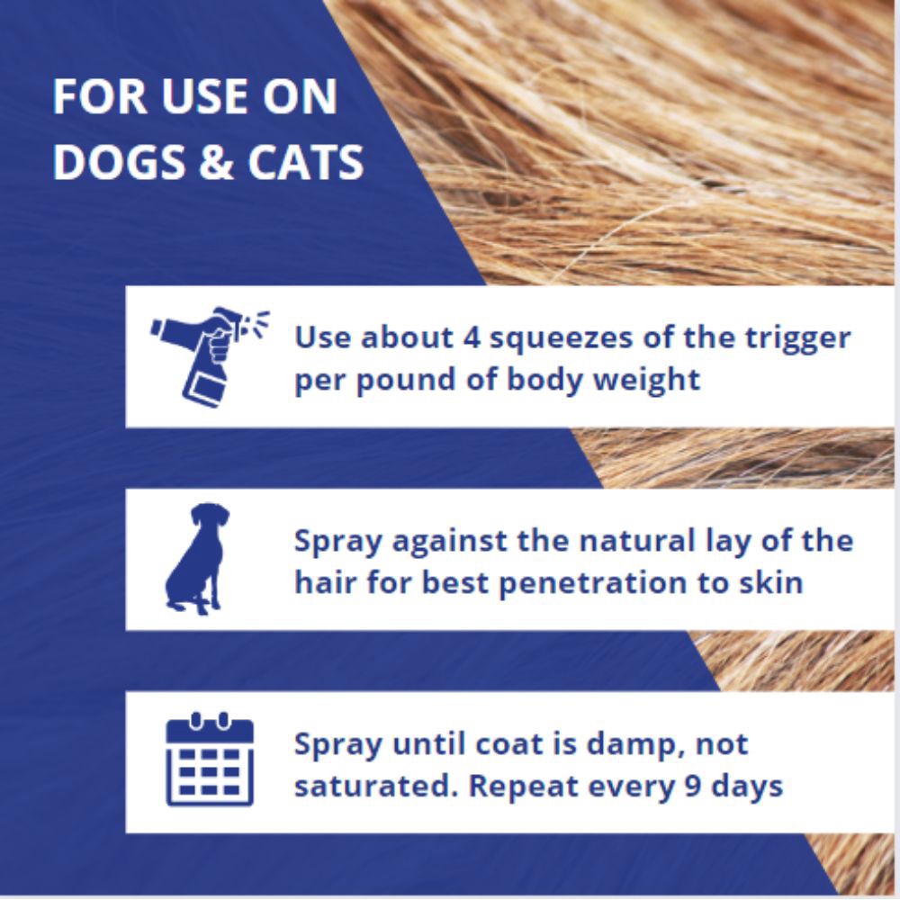 slide 2 of 6, Farnam Pet Farnam Flys-Off Insect Repellent for Dogs and Cats 6 Fluid Ounces, 1 ct