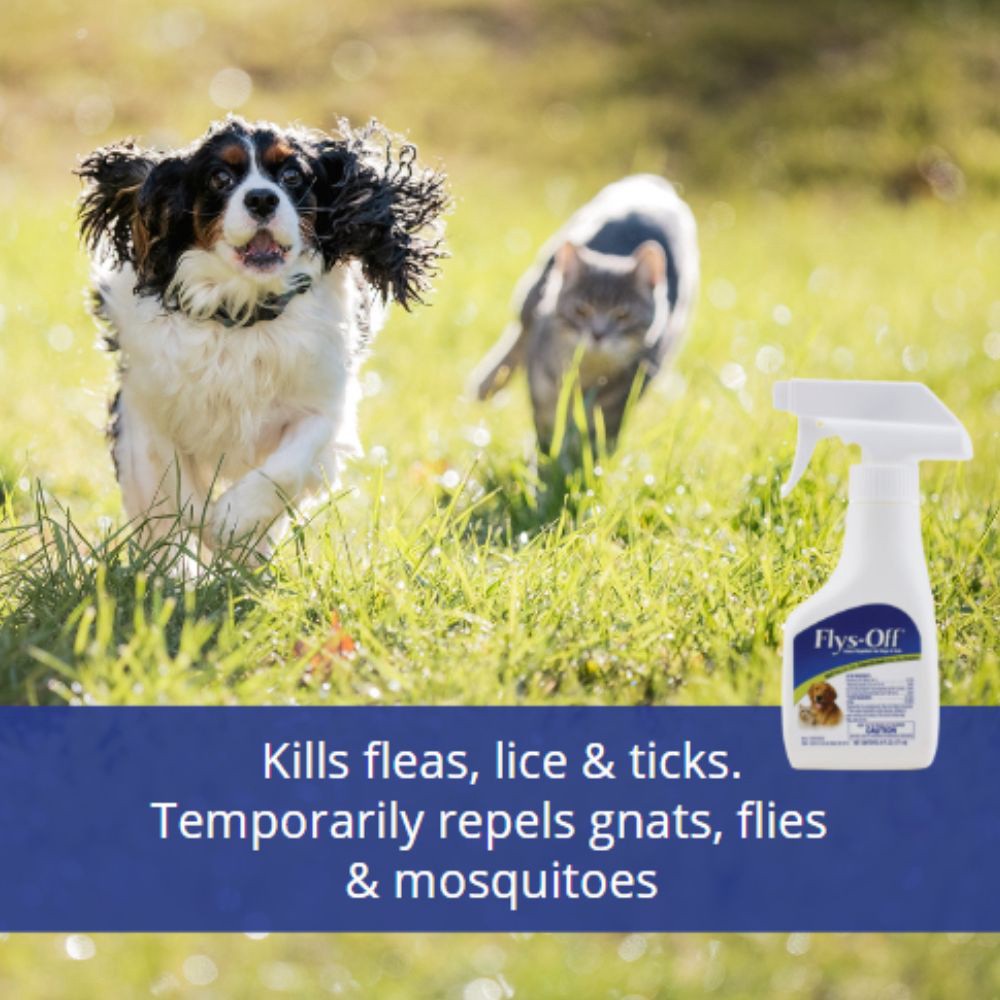 slide 3 of 6, Farnam Pet Farnam Flys-Off Insect Repellent for Dogs and Cats 6 Fluid Ounces, 1 ct