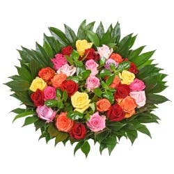 Bloom Haus 30 Plus Rose Bouquet - Bicolor
