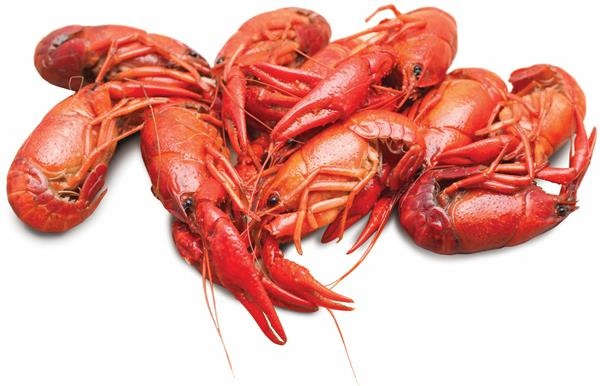 slide 1 of 1, Louisiana Cooked Crawfish, per lb