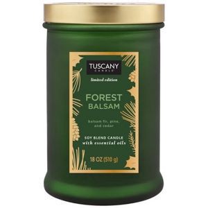 slide 1 of 1, NON BRAND Painted Jar Forest Balsam, 18 oz