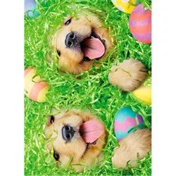 Avanti Easter Puppies in Easter Basket Card