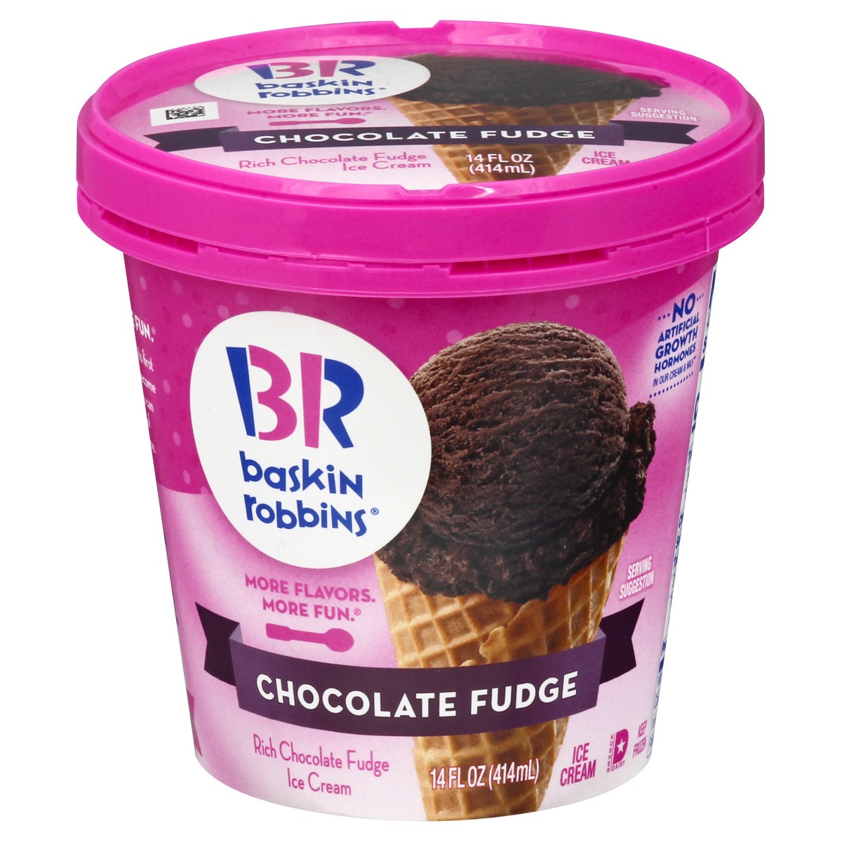 slide 1 of 9, Baskin-Robbins Chocolate Fudge Ice Cream 14.0 oz, 14 oz