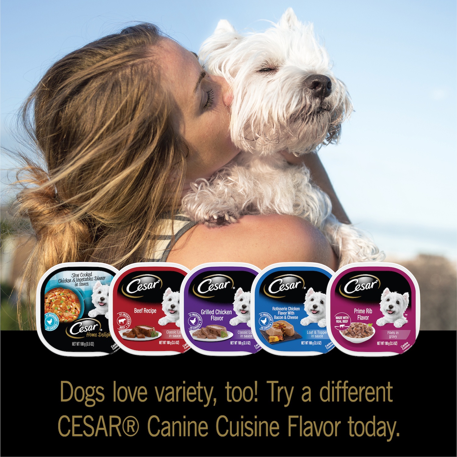 CESAR Wet Dog Food HOME DELIGHTS & Classic Loaf in Sauce Breakfast