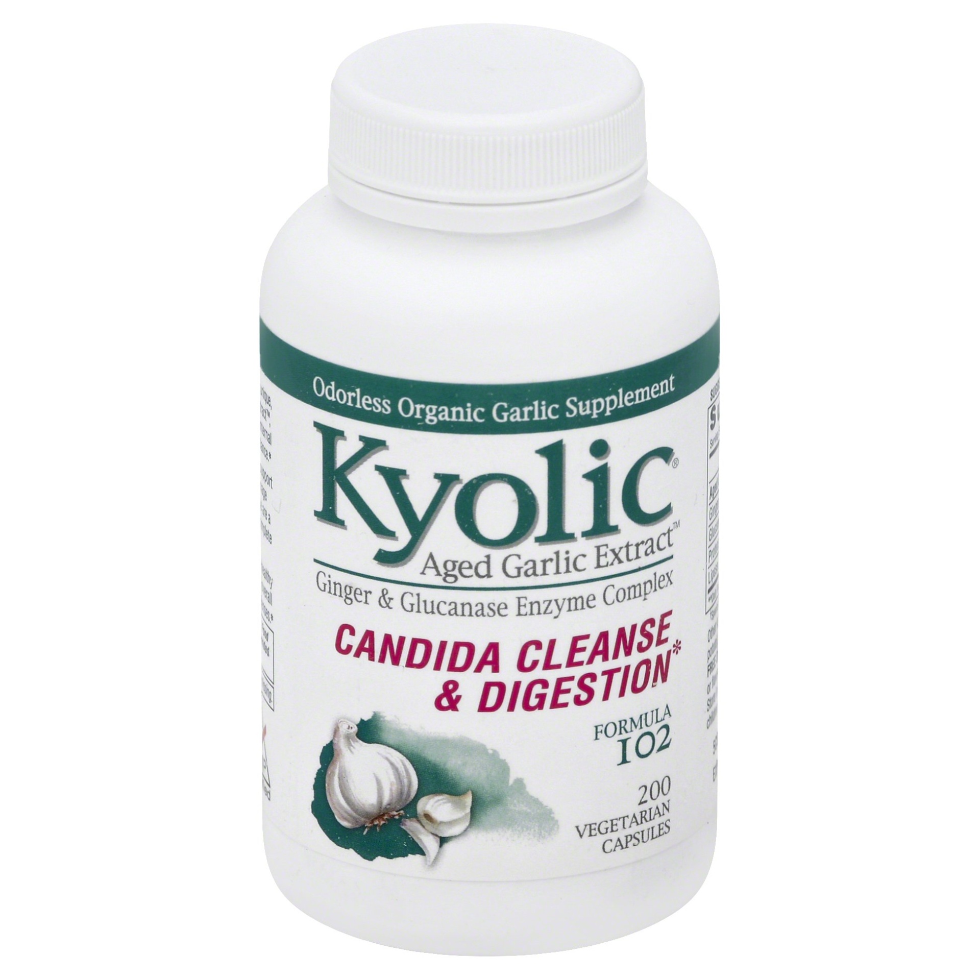 slide 1 of 1, Kyolic Aged Garlic Extract Cleanse And Digestion Aged Garlic Extract, 200 ct