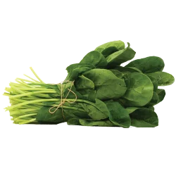Spinach, 1 Bunch