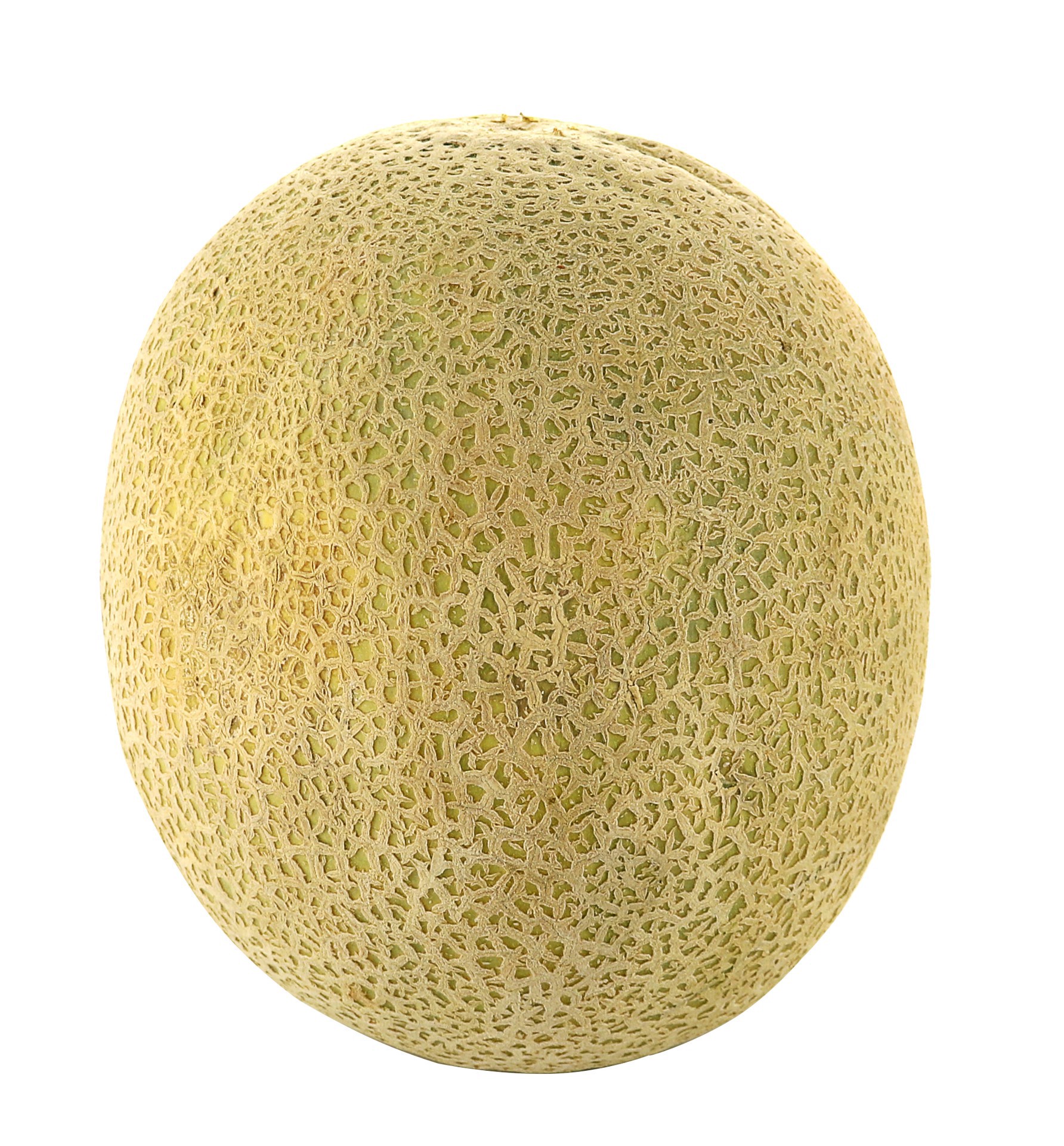 slide 1 of 1, Cantaloupe, 1 ct