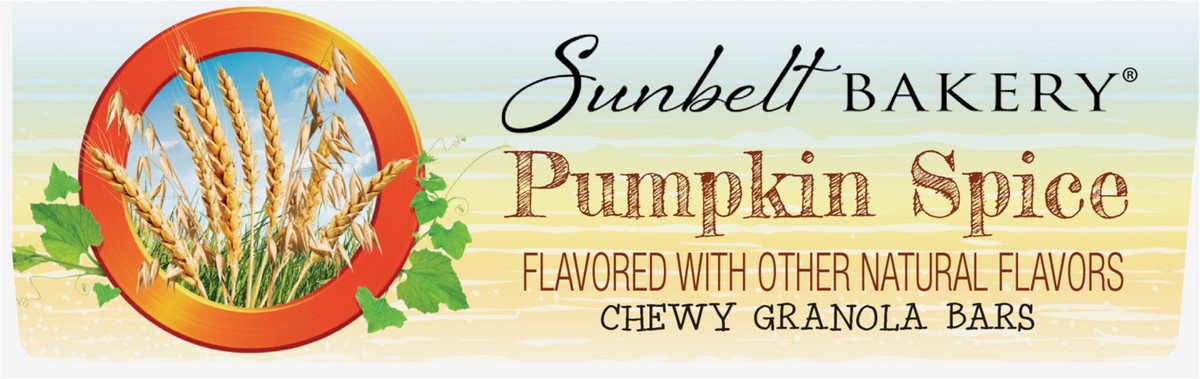 slide 4 of 9, Sunbelt Bakery Chewy Pumpkin Spice Granola Bars 10 10 ea Box, 10 ct