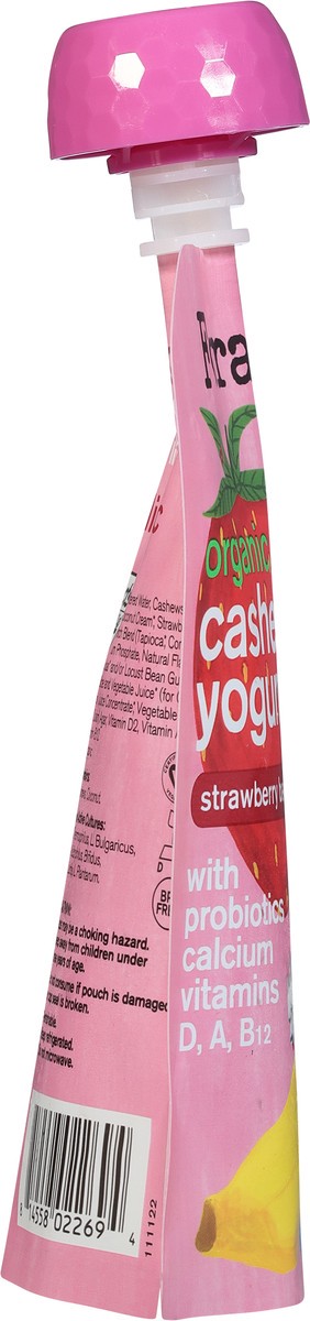 slide 5 of 13, Forager Project Organic Strawberry Banana Cashewmilk Yogurt 3.2 oz, 3.2 oz