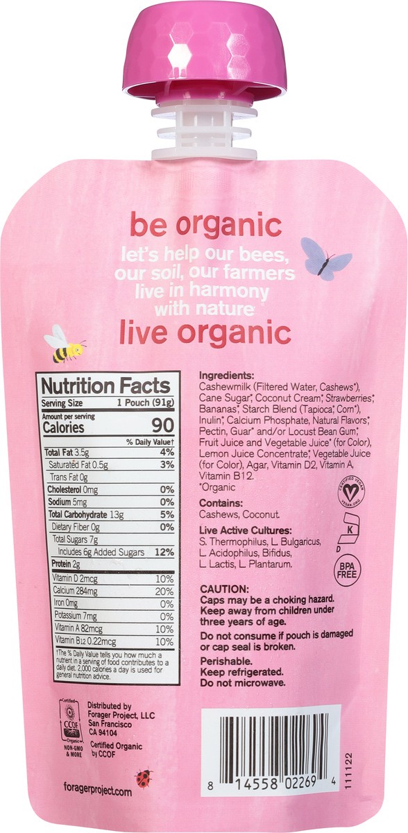 slide 6 of 13, Forager Project Organic Strawberry Banana Cashewmilk Yogurt 3.2 oz, 3.2 oz