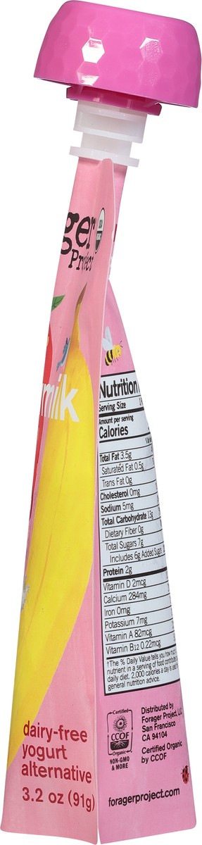 slide 8 of 13, Forager Project Organic Strawberry Banana Cashewmilk Yogurt 3.2 oz, 3.2 oz