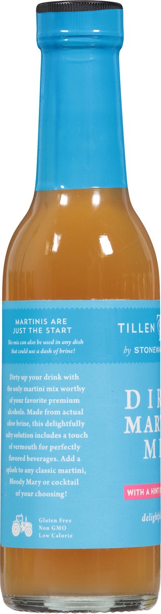 slide 3 of 13, Tillen Farms Dirty Martini Mix 8 fl oz, 8 oz