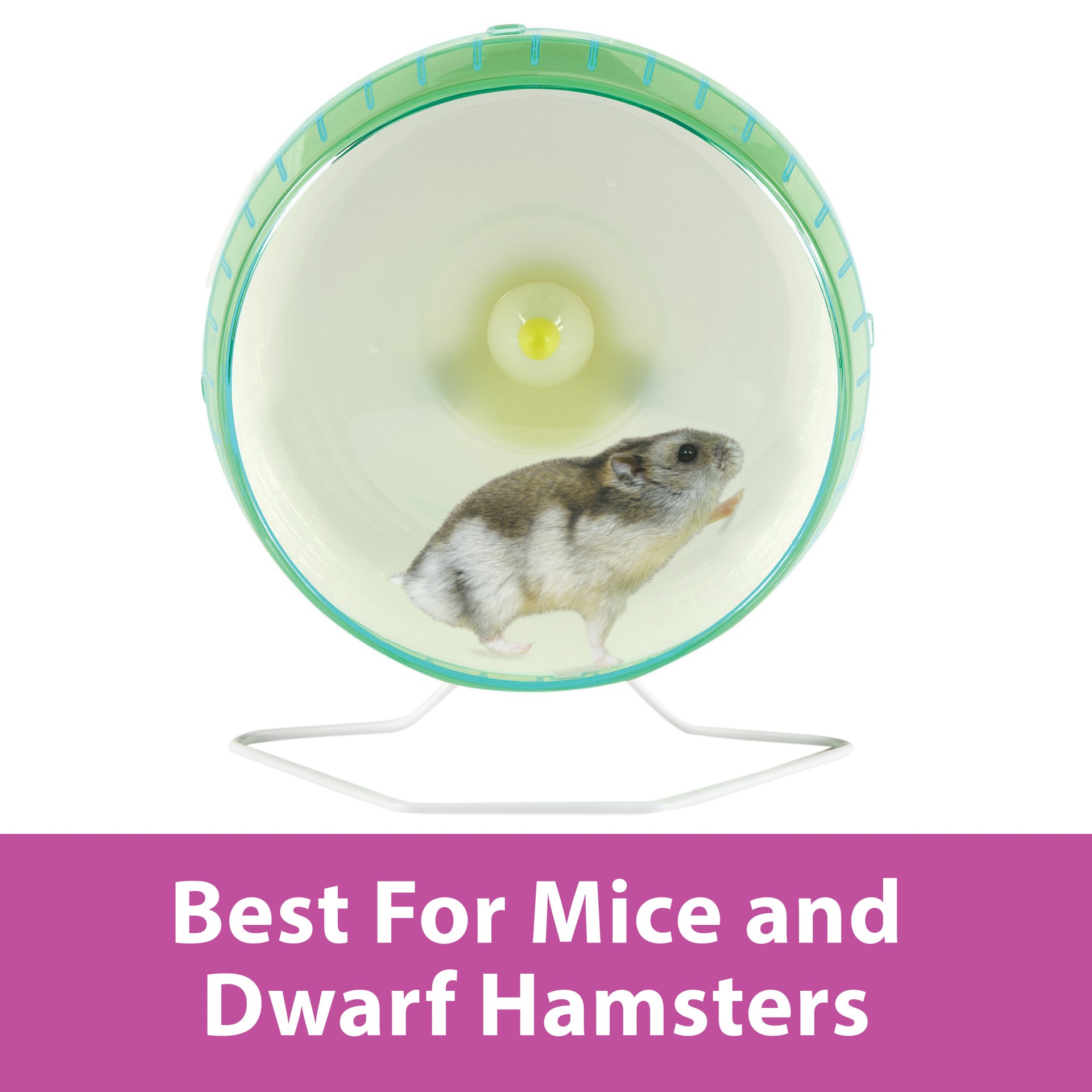 slide 9 of 10, Kaytee Hard Goods Kaytee Small Animal Silent Spinner Wheel Mini 4.5 Inch (assorted colors), 1 ct