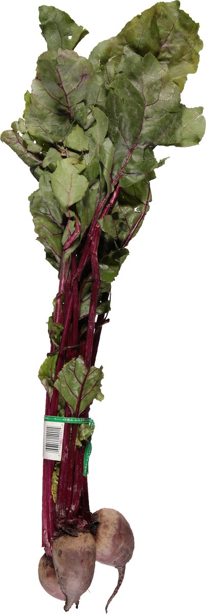 slide 5 of 14, Full Circle Market Organic Red Beets 1 ea, 1 ct