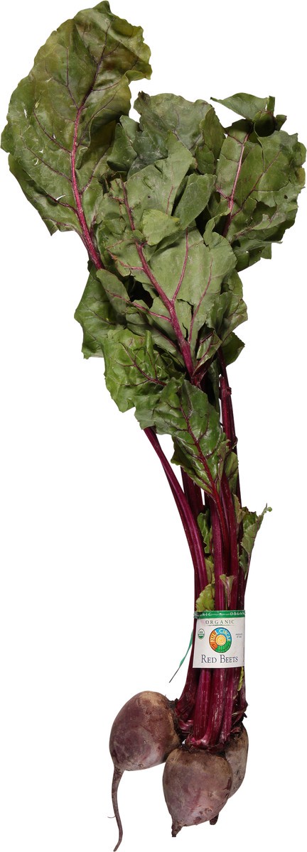 slide 9 of 14, Full Circle Market Organic Red Beets 1 ea, 1 ct