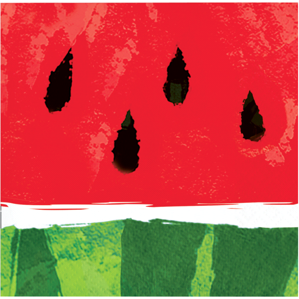 slide 1 of 1, Creative Juicy Watermelon Beverage Napkins, 16 ct