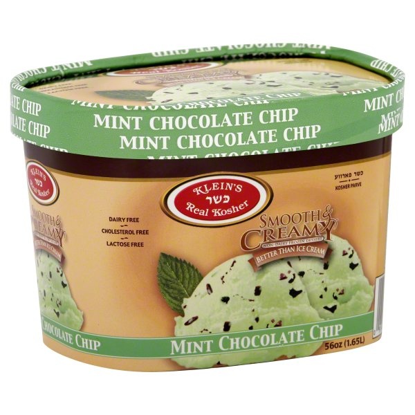 slide 1 of 1, Klein's Real Kosher Smooth And Creamy Mint Chocolate Chip Ice Cream, 56 oz