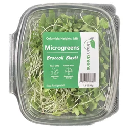 Urban Greens Microgreens Broccoli Blast!