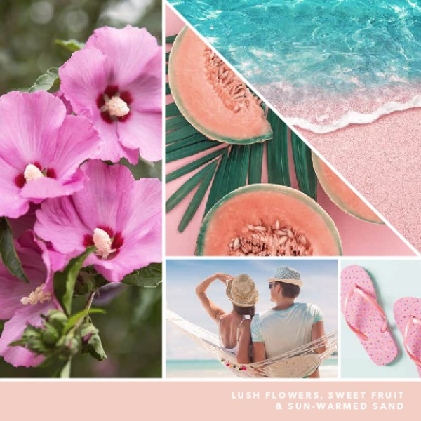 slide 6 of 10, Yankee Candle Car Jar Ultimate Variety: Pink Sands, Sun & Sand, Beach Walk, 3 ct