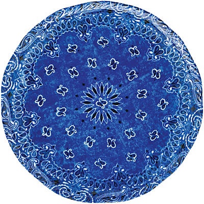 slide 1 of 1, Haven & Key Blue Bandana Summer Melamine Salad Plate, 9 in